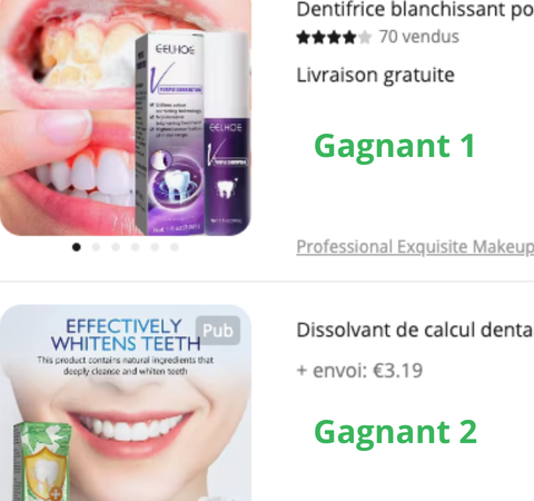 Module 2 — Produits gagnants