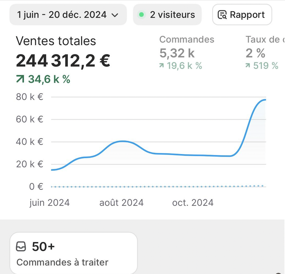 Dashboard Shopify — 244 312€